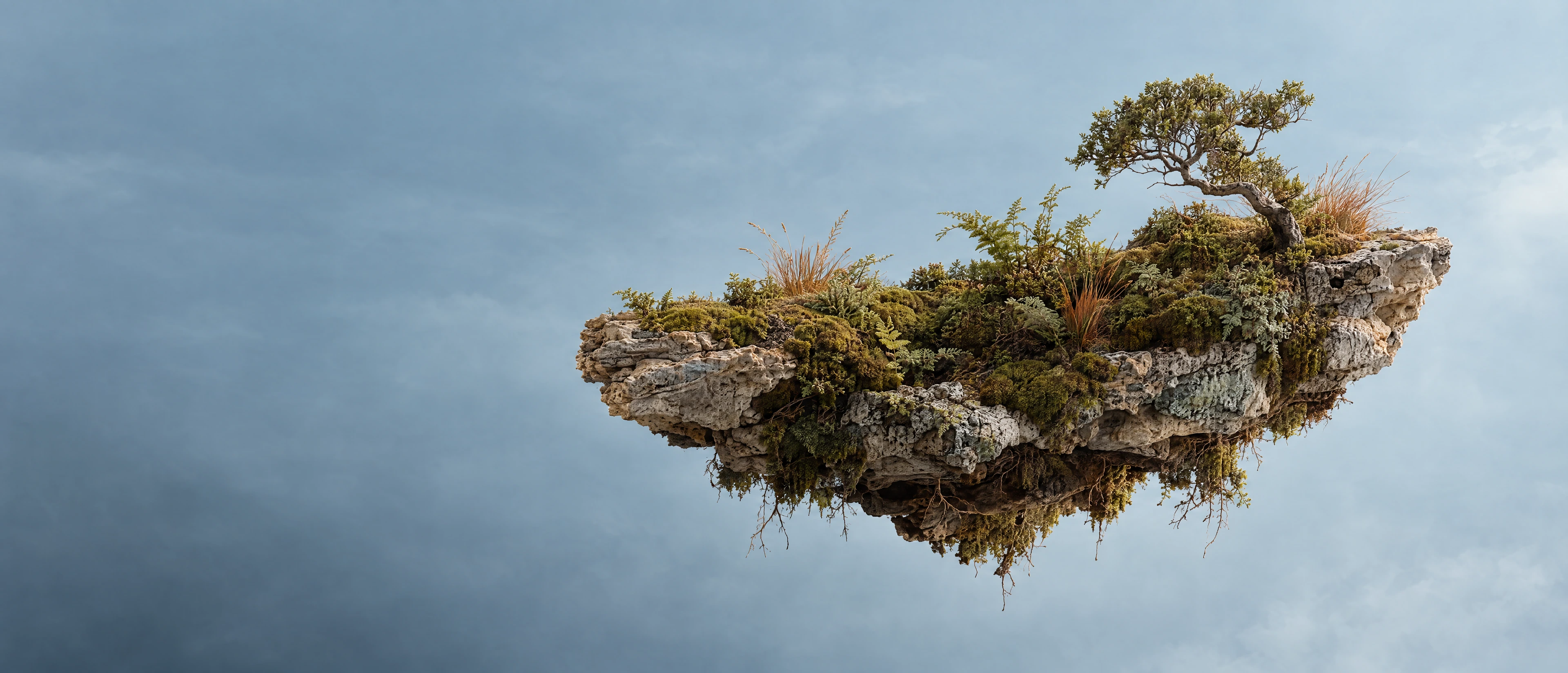A floating limestone island carrying moss, ferns and a windswept tree.